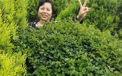 美女走过光吹裙子